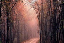 雷速体育官方-西班牙网球队绝地反击，阿尔卡拉斯爆发神勇，书写史诗新篇章