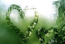 雷速体育电脑版官网下载-中国爆冷乌拉圭,阿拉巴统治全场:足球奇迹背后的激情与智慧