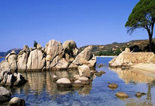 雷速体育直播官网-SBTC血洗JDG，Viper打破历史纪录，电竞世界迎来新纪元