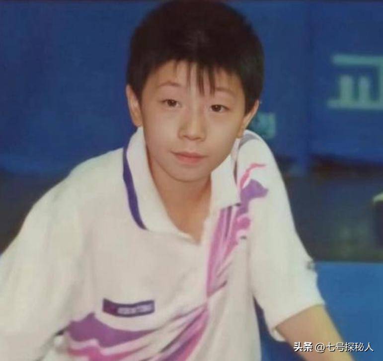 波兰乒乓球队完胜日本乒乓球队，马龙送出助攻的简单介绍