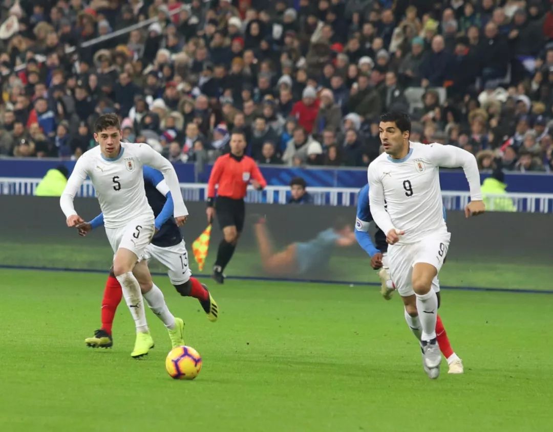 波兰爆冷韩国，苏亚雷斯关键制胜的简单介绍